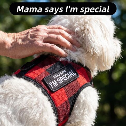 2PCS Dog Patches for Harness,Shimmeroo Removable Dad Says I'm Special Patch for Dog Vest Backpack,Clothing, Jeans,Hat,Hook and Loop Fastener in Saudi Arabia