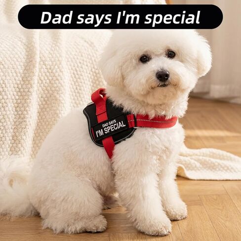 2PCS Dog Patches for Harness,Shimmeroo Removable Dad Says I'm Special Patch for Dog Vest Backpack,Clothing, Jeans,Hat,Hook and Loop Fastener in Saudi Arabia