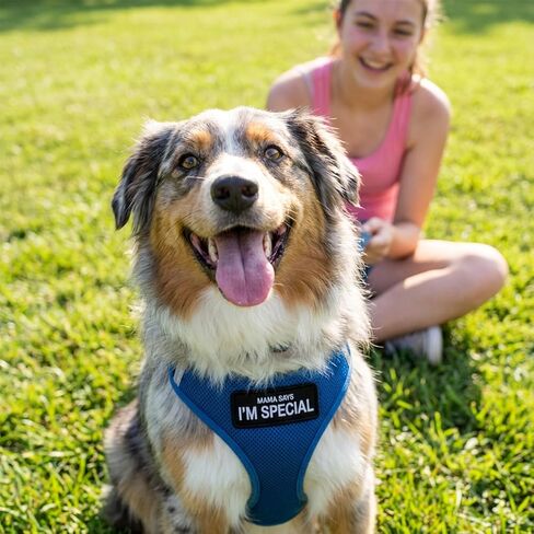 2PCS Dog Patches for Harness,Shimmeroo Removable Dad Says I'm Special Patch for Dog Vest Backpack,Clothing, Jeans,Hat,Hook and Loop Fastener in Saudi Arabia