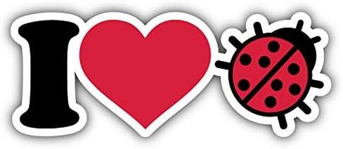 KW Vinyl Magnet I Love Ladybug Truck Car Magnet Bumper Sticker Magnetic 5" in Saudi Arabia