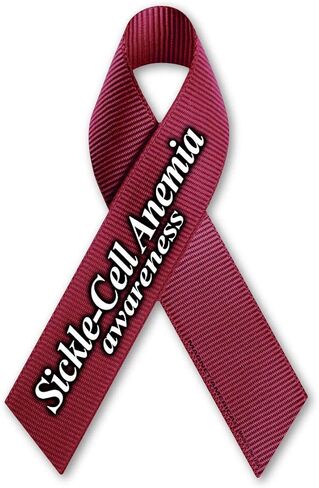 Magnet America Sickle Cell Anemia Awareness Ribbon Magnet is 6.875" x 4.5" Made for Vehicles and Refrigerators in Kuwait