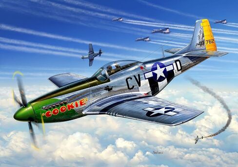 Revell Of Germany P-51D Mustang in Saudi Arabia