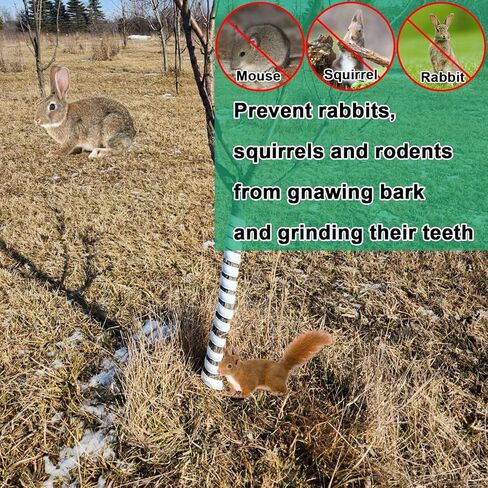 حامي جذع الشجرة 4 قطع مقاس 2 حراس شجرة حلزونية بلاستيكية بيضاء قابلة لإعادة الاستخدام لتعزيز حماية لحاء الشجرة in Kuwait