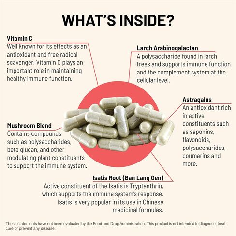 Immuni-LT - Immune System & Whole Body Support Supplement - Power Packed Immune Booster, Dynamic Immune Defense with Essential Vitamins & Minerals (60 Vegetarian Capsules) in Saudi Arabia