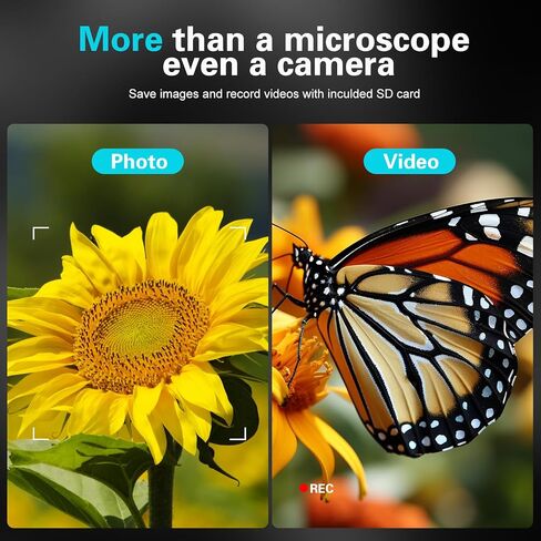 BEBANG 4.3 بوصة LCD مجهر رقمي 1000x للبالغين، مكبر مجهر عملة 1080P مع 8 مصابيح LED قابلة للتعديل، عرض الكمبيوتر الشخصي، متوافق مع نظام التشغيل MacOS Windows، بطاقة SD سعة 32 جيجابايت in Kuwait