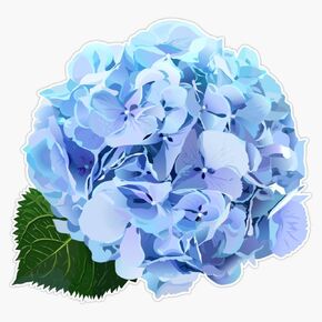 Watercolor Style Hydrangea Flowers Set. Vinyl Decal Bumper Sticker 5" in Saudi Arabia
