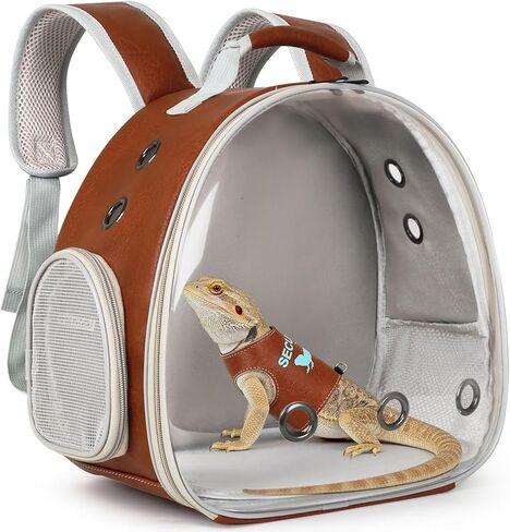 Bearded Dragon Carrier Backpack with Security Printing Harness Leash Set, Reptile Lizard Space Capsule Astronaut Clear Bubble Window Travel Carrier for Small Animal Guinea Pig(Black, Security Harness) in Saudi Arabia