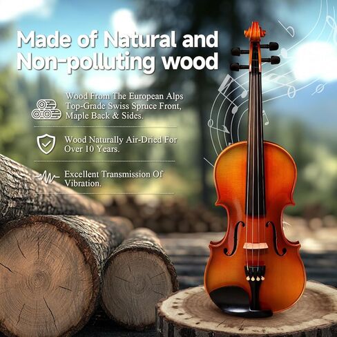 Violin 4/4 Full Size Kit for Adults Beginner, Violin Fiddle Set for Student with Rosewood Bow&Bridge,Extra Strings, Fingerboard Stickers, 2 rosinsShoulder Rest, Case(Plywood) in Saudi Arabia