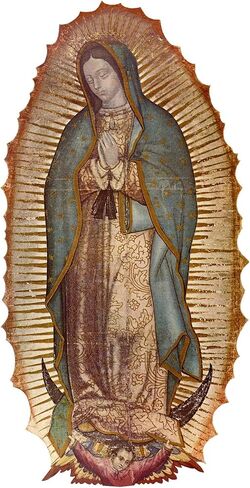 ملصق سيارة CafePress Our Lady of Guadalupe مستطيل الشكل in Kuwait