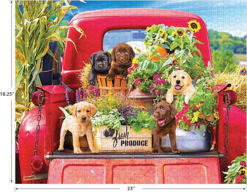 RoseArt - Kodak Premium - حزمة متعددة 4 في 1 - ألغاز الصور المقطوعة 1000 قطعة (4 عبوات) - مجموعة ألغاز تصوير مذهلة للبالغين - 4 ألغاز فردية 1000 قطعة في صندوق واحد in Kuwait