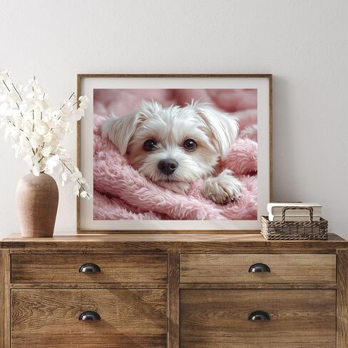 WUIVCTR Paint by Numbers, Maltese on Fluffy Blanket, Adult Crafts Adult Paint by Number Kits, Arts Crafts for Home Decor (No Frame,16x20 inch) in Kuwait