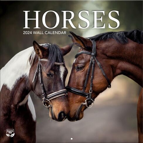 Turner Photographic Horses 12X12 Photo Wall Calendar (24998940025) in Saudi Arabia