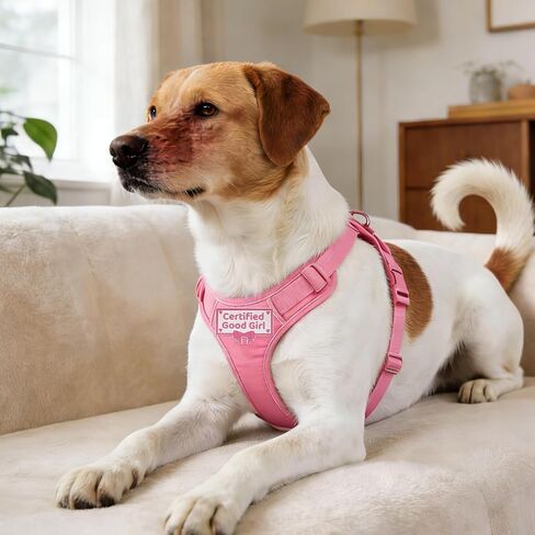 Dog Patches for Harness, Funny Pink Certified Good Girl Dog Harness Patches, Dog Vest Patches Hook and Loop Tape Embroidered Applique with Bow Tie, Fit Dogs Backpacks Clothes (3.35x2.17 Inch) in Saudi Arabia