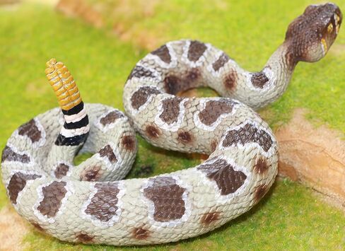 Gemini&Genius Rattlesnake Toy for Kids, Snake Habitat Reptile Toy, Rattler Animal Action Figure, Desert Animal Toys, Halloween Prop Kids Gifts in Kuwait
