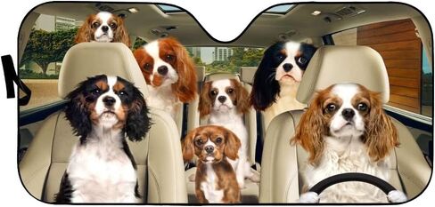 Windshield Sun Shade Cavalier King Charles Spaniel Windshield Shade Cover Heat and Sun Prevention Keep Car Cool for Most Sedans SUV Truck Automotive 55x30in in Kuwait