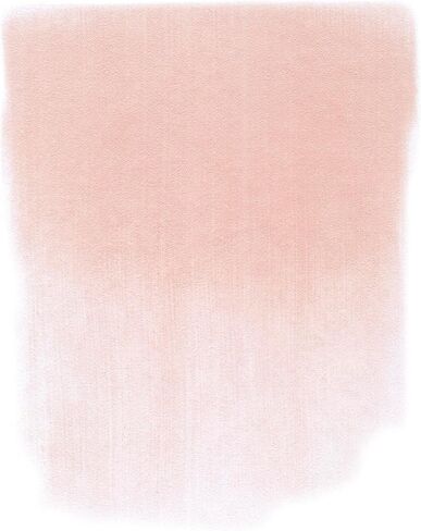 PanPastel Artist Pastels by GOLDEN, Crimson Tint, 2.44" / 62mm Pan Diameter, Professional Artist Pastels, Unique Pan Format (cake-like) in Saudi Arabia