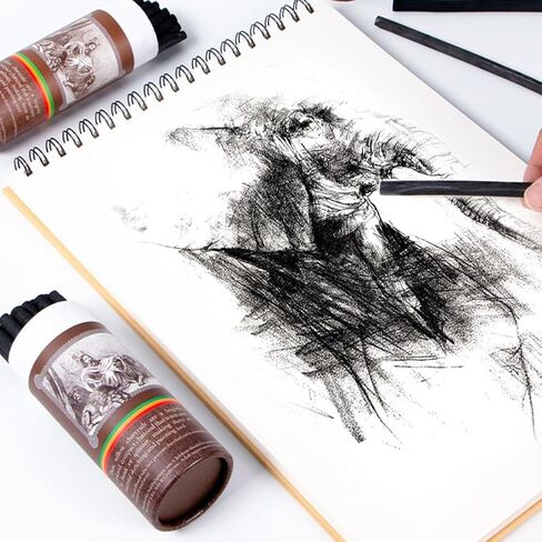 10PCS Charcoal Sticks, 3-5mm, Drawing Tools, Art Supplies in Kuwait