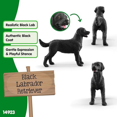 Schleich Black Labrador Retriever Female 14923 in Kuwait