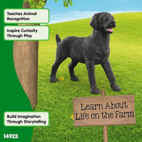 Schleich Black Labrador Retriever Female 14923 in Kuwait