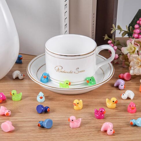 200 Mini Duck Set 20 Colors 10 Each 0.7 x 0.6 x 0.4 Inches Ideal for Dollhouse Mini Fairy Gardens Aquarium Potted Plants Hide and Seek Creative DIY in Saudi Arabia