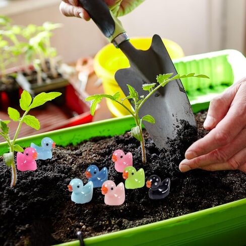 200 Mini Duck Set 20 Colors 10 Each 0.7 x 0.6 x 0.4 Inches Ideal for Dollhouse Mini Fairy Gardens Aquarium Potted Plants Hide and Seek Creative DIY in Saudi Arabia