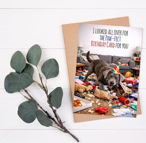 Funny Birthday Card for Men, Husband, Him, Dad, Mom, Her, Women, Wife – Paw-fect Dog Birthday Card, Cute & Humorous 5x7 Folded Card with Envelope - Gift for 16th, 18th, 20th, 21st, 25th, 30th, 35th, 40th, 45th, 50th, 55th, 60th, 65th, 70th, 80th, 90th in Saudi Arabia