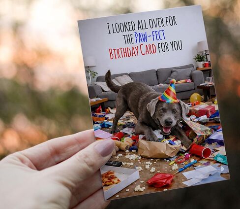 Funny Birthday Card for Men, Husband, Him, Dad, Mom, Her, Women, Wife – Paw-fect Dog Birthday Card, Cute & Humorous 5x7 Folded Card with Envelope - Gift for 16th, 18th, 20th, 21st, 25th, 30th, 35th, 40th, 45th, 50th, 55th, 60th, 65th, 70th, 80th, 90th in Saudi Arabia