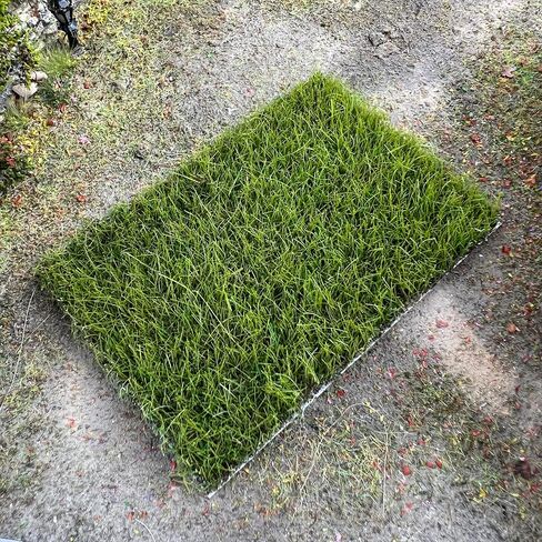 Miniature Grass Tufts (0.4 Inch Height, 5 Colors) - Hand-Tear Grass for Model Railway Diorama, Train Landscape Scenery & Car Diorama Scene Accessories (Autumn Green) in Kuwait