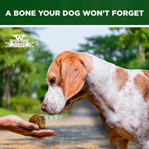 Wahoo Locker Smoked Beef Bones for Dogs, 1.5in, 4 Count in Saudi Arabia