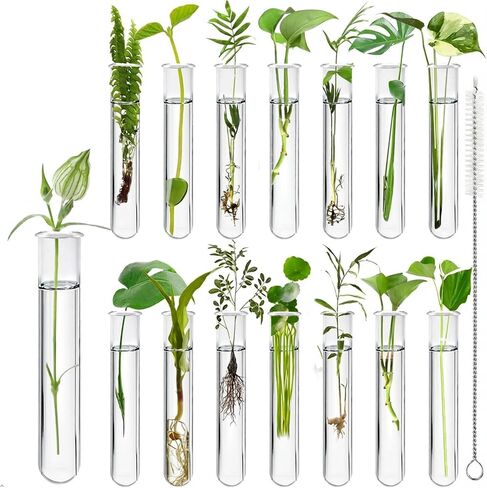 15Pcs Glass Tubes for Plants, Plant Propagation Tube Test Tubes for Scientific Experiments 20 ml Glass Test Tubes for Hydroponic Plants, Home Office Wall Decor (12cm) in Saudi Arabia
