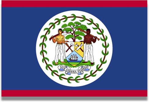ملصق مغناطيسي Magnet Me Up Belize Belize Flag Magnet، 4x6 بوصة، مغناطيس سيارات شديد التحمل للسيارة، شاحنة الدفع الرباعي، يلتصق بأي سطح مغناطيسي، عنصر ثقافي، يظهر الفخر ببلدك، صُنع في الولايات المتحدة الأمريكية in Kuwait