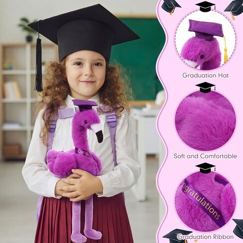 Chalyna 10 Inch Graduation Gifts Flamingo Plush Stuffed Animal with Gold Tassel Graduation Hat and Sash Congrats Grad Gift for Preschool Kindergarten Kids Student Friend Party Decoration(Purple) in Kuwait