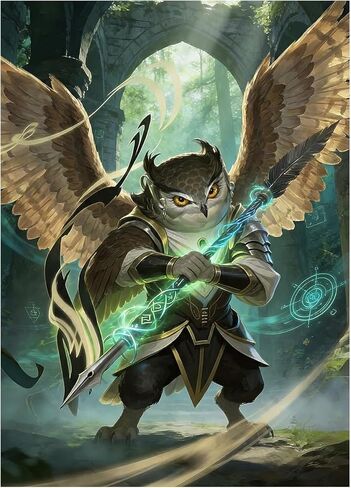 Katomula 100 MTG Card Sleeves with 100 Inner Sleeve, Textured Back Art Sleeves, Fit Standard Size Cards- Owl in Saudi Arabia