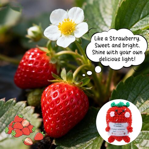 Positive Strawberry Crochet Gifts for Women, Handmade Cute Crochet Strawberry Plush with Card, Emotional Support Fruit Present for Men Friends Coworkers Cheer Up Birthday Christmas Decor in Kuwait