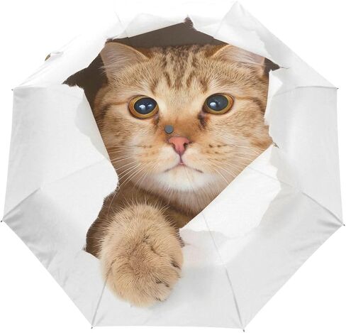 Black Compact Travel Umbrella Maine Coon Cat Auto Open Close Umbrella Windproof Anti-UV in Saudi Arabia