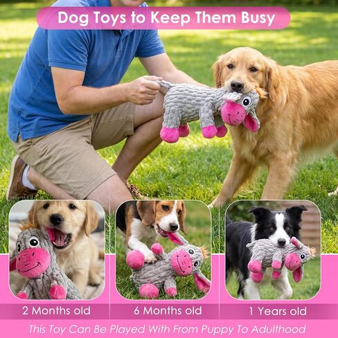 Squeaky Plush Dog Toy, Crinkle Ears Interactive Dog Chew Toy for Small Medium Dogs, Durable Corduroy Stuffed Animal Dog Toys for Puppy Teething, Boredom Relief & Indoor Fetch Play in Saudi Arabia