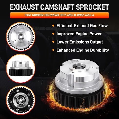 DS7Z-6256-A DS7Z-6256-B Camshaft Sprocket Set Intake Exhaust Timing Gear Engine Variable Valve Timing VVT Compatible with Ford Escape 2013-2019 1.5L Fiesta 2014-2019 1.6L Fusion 2013-2020 1.5L in Saudi Arabia