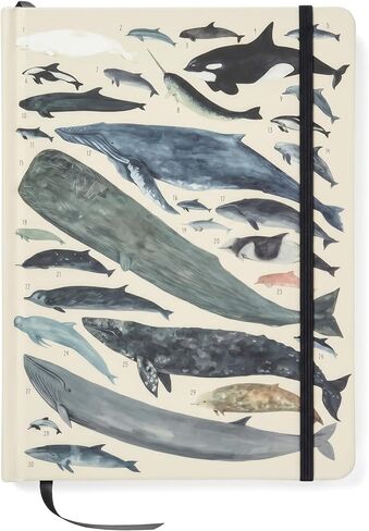 High Note Non-Dated Journal Notebook Orders of the Animals by Kelsey Oseid, 183 Lined Pages, 6" x 8.5" in Saudi Arabia
