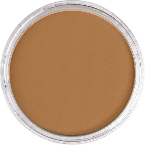 PanPastel Artist Pastels by GOLDEN, Raw Sienna Shade, 2.44" / 62mm Pan Diameter, Professional Artist Pastels, Unique Pan Format (cake-like) in Kuwait