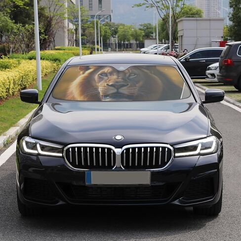 Windshield Sun Shade Car Sunshade Foldable Lion Yellow Golden Sunshades Keep Car Interior Cool for Cars & Truck Sblocks UV Rays 55"*27.5" in Kuwait