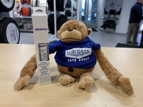 GM Genuine ACDelco 2-In-1 Touch Up Paint Bottle Olympic White GAZ 50 50U WA8624 & Top Clear Coat in Kuwait