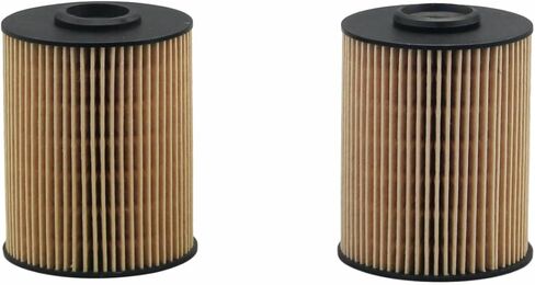 FS19856 Fuel Water Sep (Pack of 2), Compatible with Dodge Ram 2500 3500, fits 5.9L Cummins Turbo Diesel, Replaces 68001914AA, 68001914AB，5015581AA, 5015581AB, 33585XE, CS10145, FS19856 in Kuwait