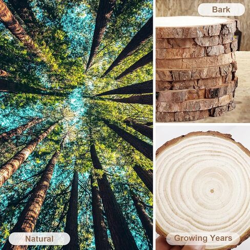 17 PCS Unfinished Wood Slices for Centerpieces, Wood Rounds for Crafts, Wooden Circle with Tree Bark, Wooden Discs for DIY Painting Crafts Rustic Wedding Christmas Ornaments(4.7"-5.5") in Saudi Arabia