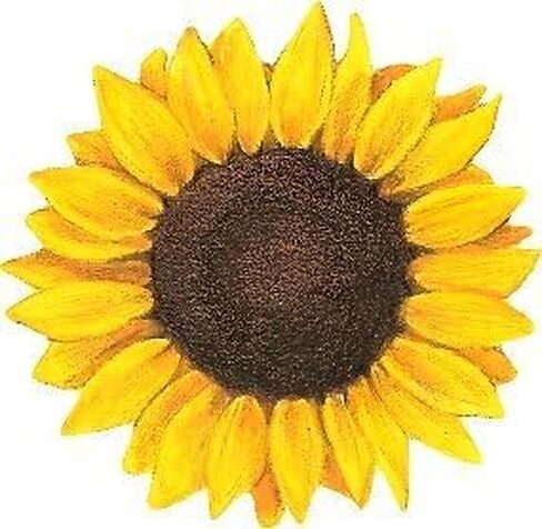 Sunflower 50 Pack 1-Inch Retro Stickers for Scrapbooking, Journals, Planners, Laptops, Phones and Water Bottles in Kuwait