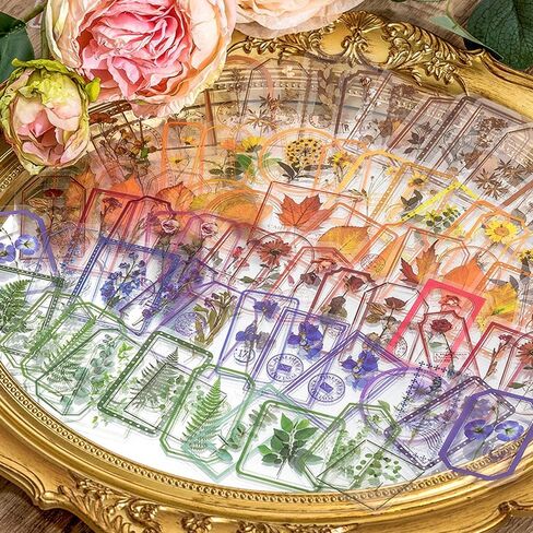 30 Pieces Glossy Rose Flower Vintage Border PET Stickers, Decorative Supplies for Scrapbook DIY Crafts Journaling Planner Art Projects in Kuwait