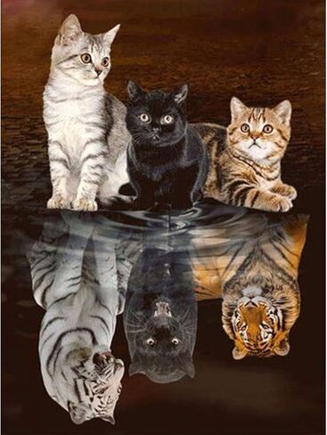 LYKEJI Cats Diamond Art Kits for Adults 5D Full Drill Diamond Painting Kit, Three Tiger Cross Stitch Art Kits Painting with Diamonds 11.8×15.7 Inch in Saudi Arabia