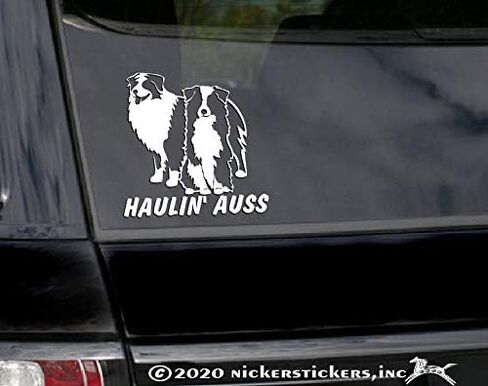 Haulin' Auss | Australian Shepherds Vinyl Decal by NickerStickers® in Saudi Arabia