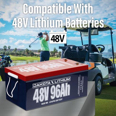 Dakota Lithium - شاحن 48V 8 Amp لبطارية الليثيوم ذات الدورة العميقة - شاحن LiFePO4 المتوافق - شاحن واحد in Kuwait