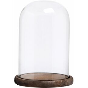 MyGift 10 Inch Tall Clear Glass Empty Display Cloche with Rustic Burnt Solid Wood Base, Decorative Dome Cover Stand for Small Plants Curios Keepsakes Heirlooms