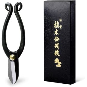 Hanafubuki Wazakura Ikenobo Ikebana Flower Scissors MADE IN JAPAN 6.5inch(165mm), Japanese Floral Arranging Tools, Kado Hasami Shears - Ikenobo Black